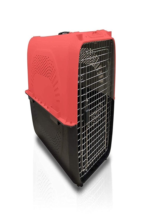 KittuPet قفص نقل الحيوانات الأليفة البلاستيكي KittuPet المعتمد من IATA، متعدد الألوان (18 بوصة) - Image 2